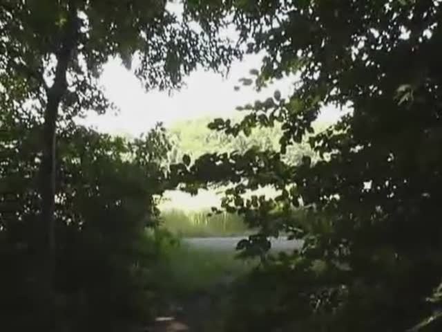 Random scat couple in the car making a porn
