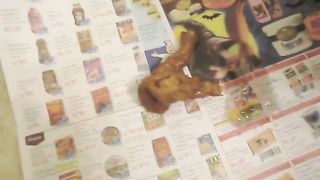 female pooping porn ebony takes a dump