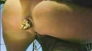 climbing the tree and taking a shit on top of it