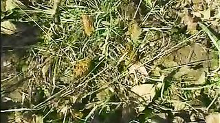 climbing the tree and taking a shit on top of it