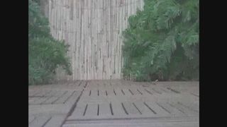 big poop with toilet paper on the wooden floor