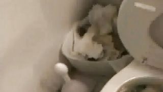 Bulimia girl puking sexy blond vomitting