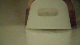 adult baby potty training