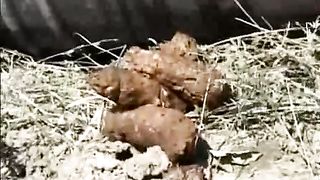 nice teen pooping on a tube