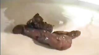 taking a dump after eating chinese food lez poo