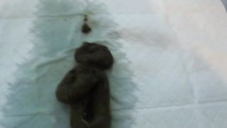 teen defecating on the ground girls deficating