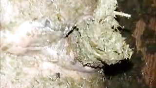 girl covered in horse shit hardcore scat