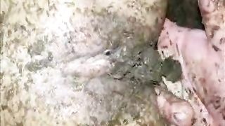 Horse Pooping Porn