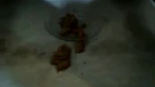 shitting bbw lady showing us her poop