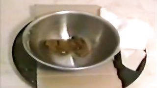 chubby american girl shitting in a metalic bowl