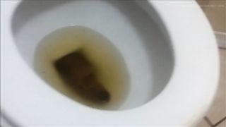 Drunk college girl dropped a big one