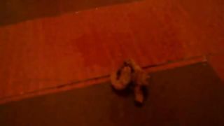 Beautiful masked teen shitting