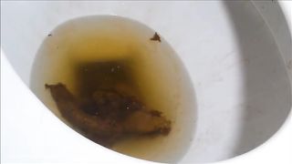 Sexy brunette babe shitting in toilet