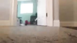 She shouldn't poop there