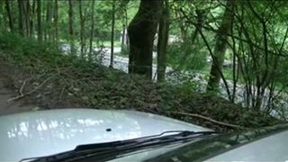 Liquid shit on hood of her car