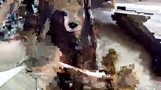 Beautiful brunette covered in fresh shit