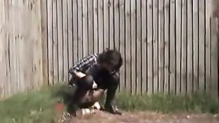 Bianca peeing behind a fence