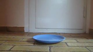 Pierced girl shitting on a blue plate