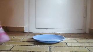 Pierced girl shitting on a blue plate