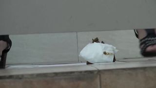Spying on a Chinese woman that's pooping