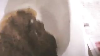 Collection of Japanese girls pooping