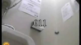 Huge turd dropped in a public bathroom