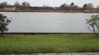 Tattooed girl shitting outdoor