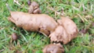 Tattooed girl shitting outdoor