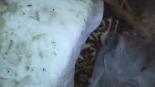 Asian slut sucking dick with scat