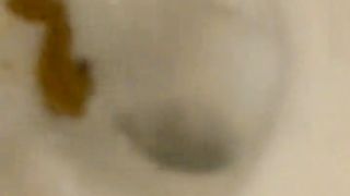 She had to poop in a public bathroom