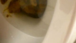 She had to poop in a public bathroom