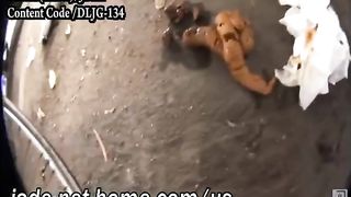 Perfect compilation of sexy girls shitting