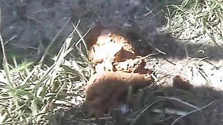 Extremely necessary pit stop