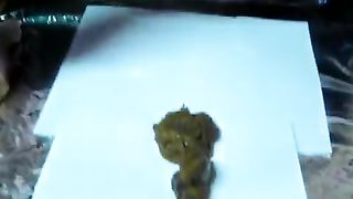 Another fattie shitting on a white napkin