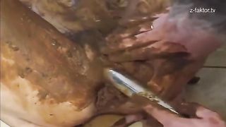 Pile of poop on a paid slut