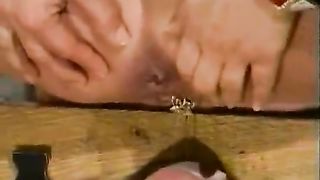 Two girls pooping on a male slave