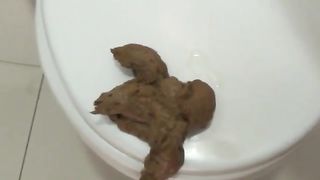 Public bathroom scat experience