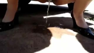 Hairy wife peeing near parked car