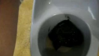 Compilation of a sexy girl pooping in a potty