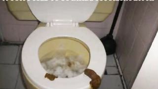 Compilation of a sexy girl pooping in a potty