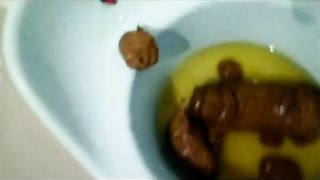 Compilation of a sexy girl pooping in a potty
