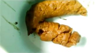 Mix of same sexy girl pooping