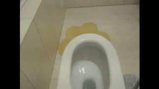 Amateur girl shitting in toilet