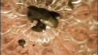 Dark haired teen eating poop