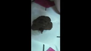 Mega shit from shaved girl