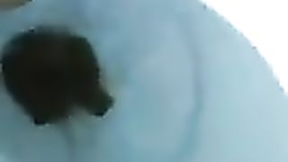 Talking dirty while pooping in toilet