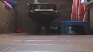 Shitting in doggy style