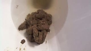 Hot plump brunette shitting in toilet