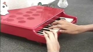 Beautiful Japanese retro scat