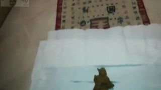 Black girl shitting on white plate